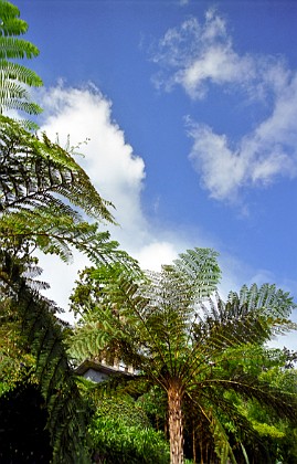 Madeira