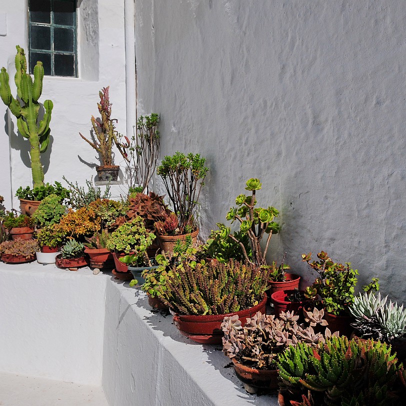 DSC_5212 Menorca, Balearen, Monestir Verge del Toro