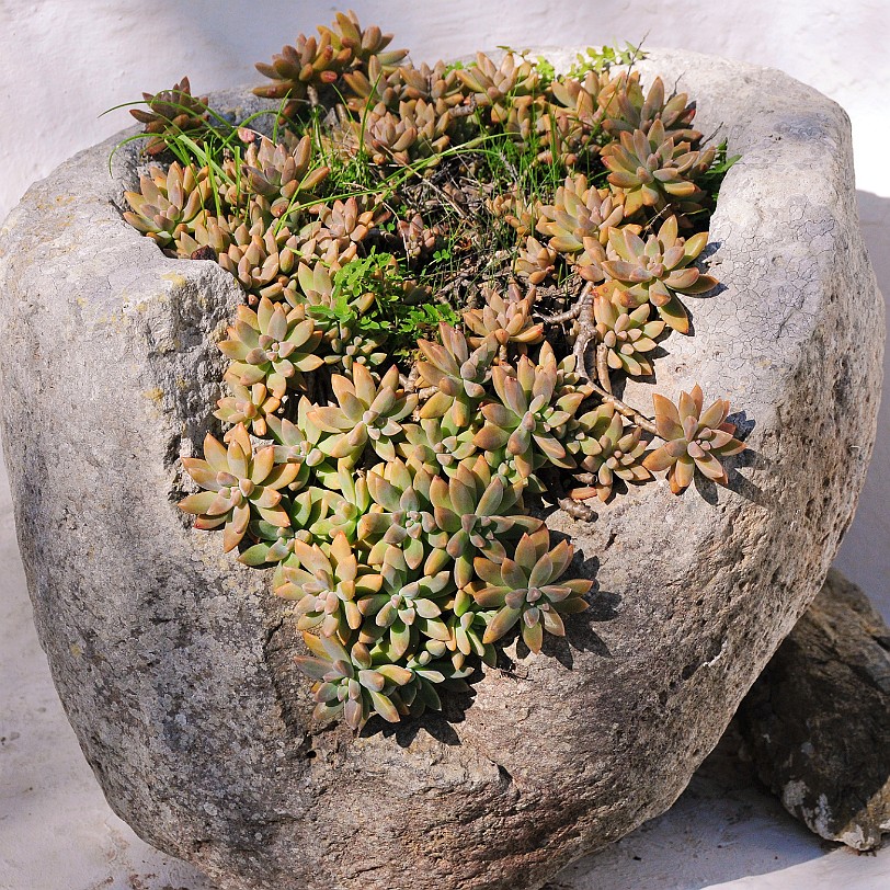 DSC_5218 Menorca, Balearen, Monestir Verge del Toro