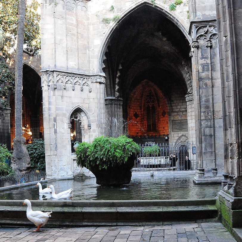 DSC_5914 La Catedral de la Santa Creu i Santa Eulàlia. Das Hauptportal wurde von Bartolomé Ordóñez und Pedro Villar erschaffen. Das Portal de San Ivo befindet sich in...