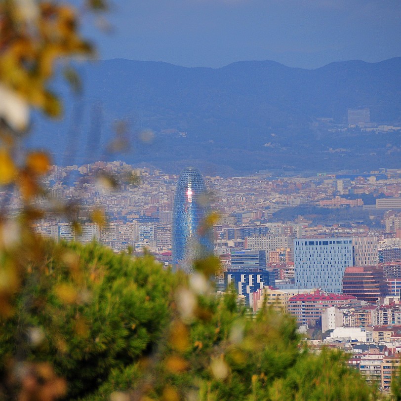 DSC_6461 Barcelona, Montjuic