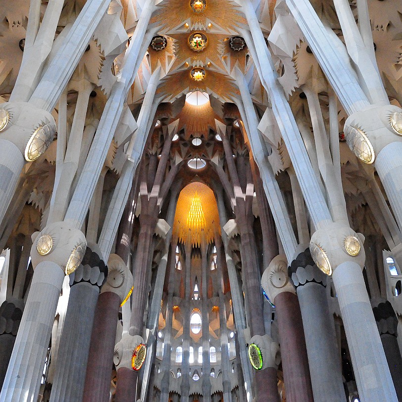 DSC_6086 Bei seinen Studien der Natur entdeckte Gaudí, dass viele in der Natur zu findenden Formen annähernd Regelflächen darstellen (also zweiseitig gekrümmte Flächen,...