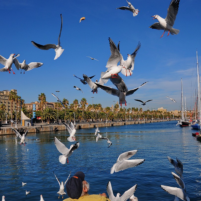 DSC_5820 Barcelona, am alten Hafen, dem Port Vell