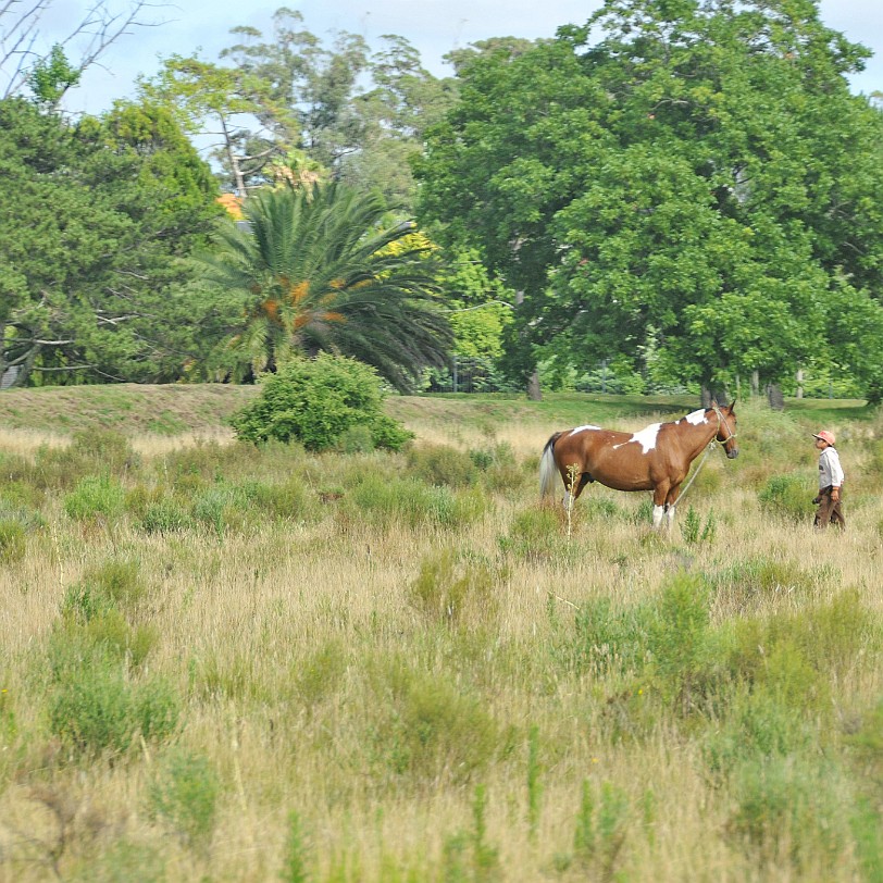 DSC_8892 Uruguay, Punta del Este