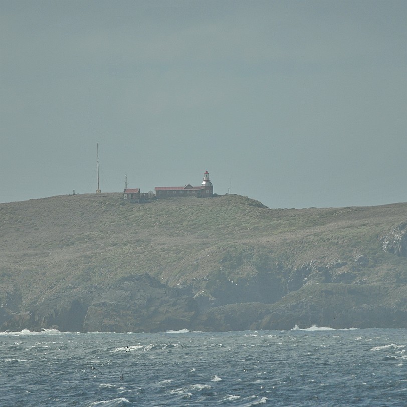 DSC_9335 Chile, Kap Horn Kap Hoorn liegt, wie die gesamten sÃ¼dlichen 2000 km SÃ¼damerikas in der kalten antarktischen ZirkumpolarstrÃ¶mung. Anders als das zwanzig...