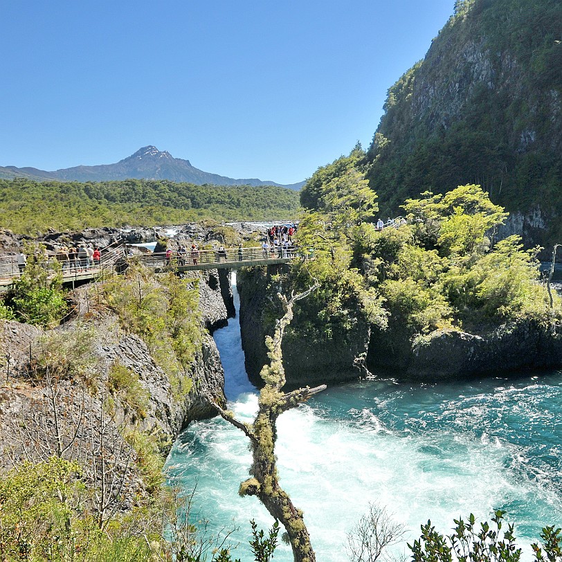 DSC_9951 Chile, Puerto Montt Vor allem die Seenregion um Puerto Montt ist sehenswert. Die Stadt selbst bietet einen kunsthandwerklichen Markt und FischspezialitÃ¤ten im...