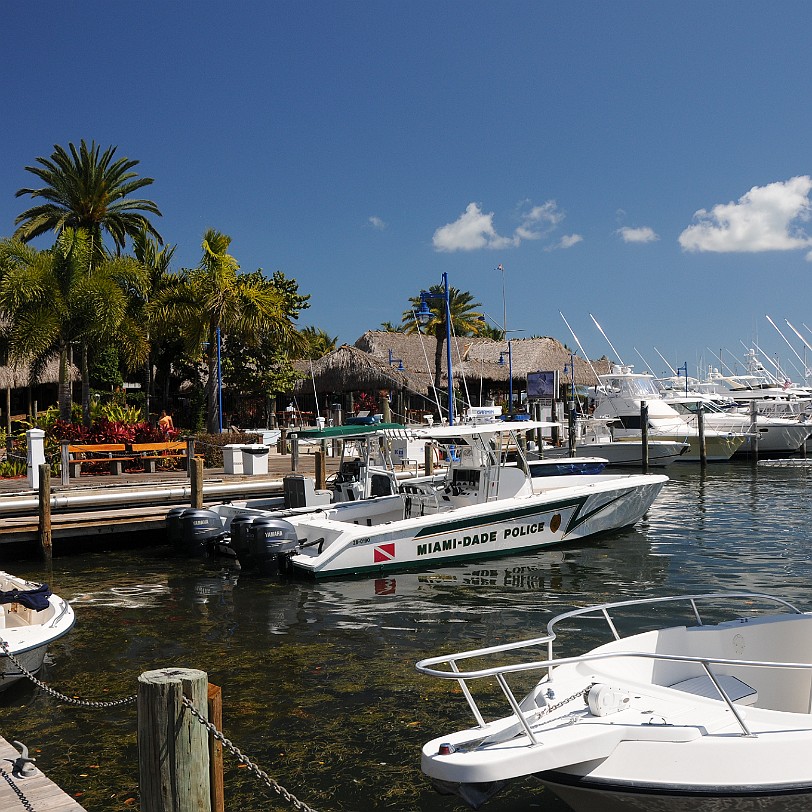 DSC_7480 Miami, Coconut Grove, Florida, USA