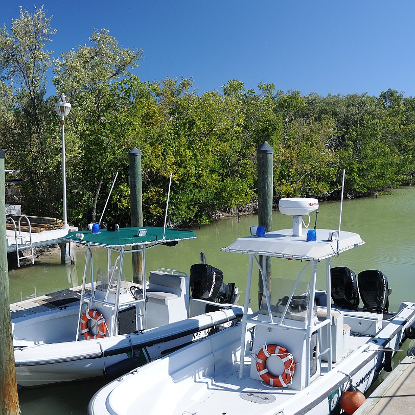 DSC_7840 Florida City, Everglades Nationalpark, Florida, USA