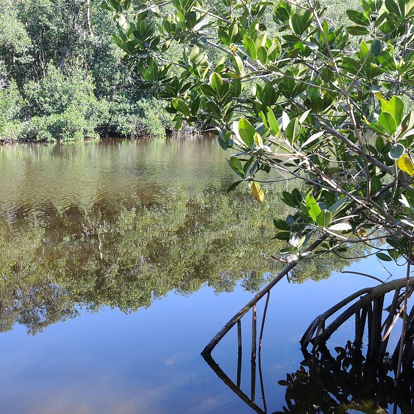 DSC_7845 Florida City, Everglades Nationalpark, Florida, USA