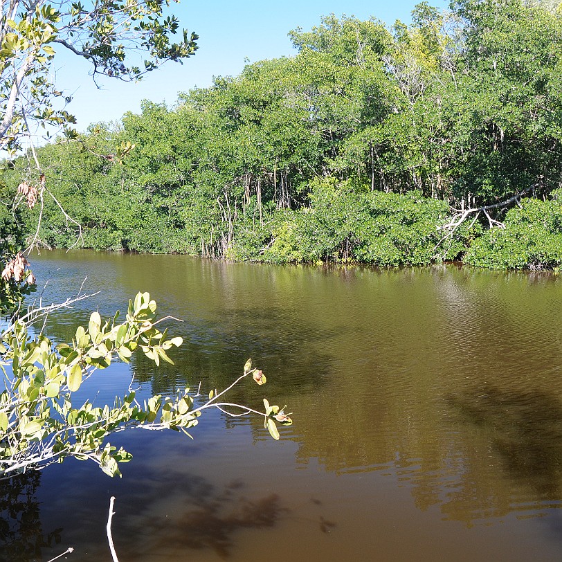 DSC_7846 Florida City, Everglades Nationalpark, Florida, USA