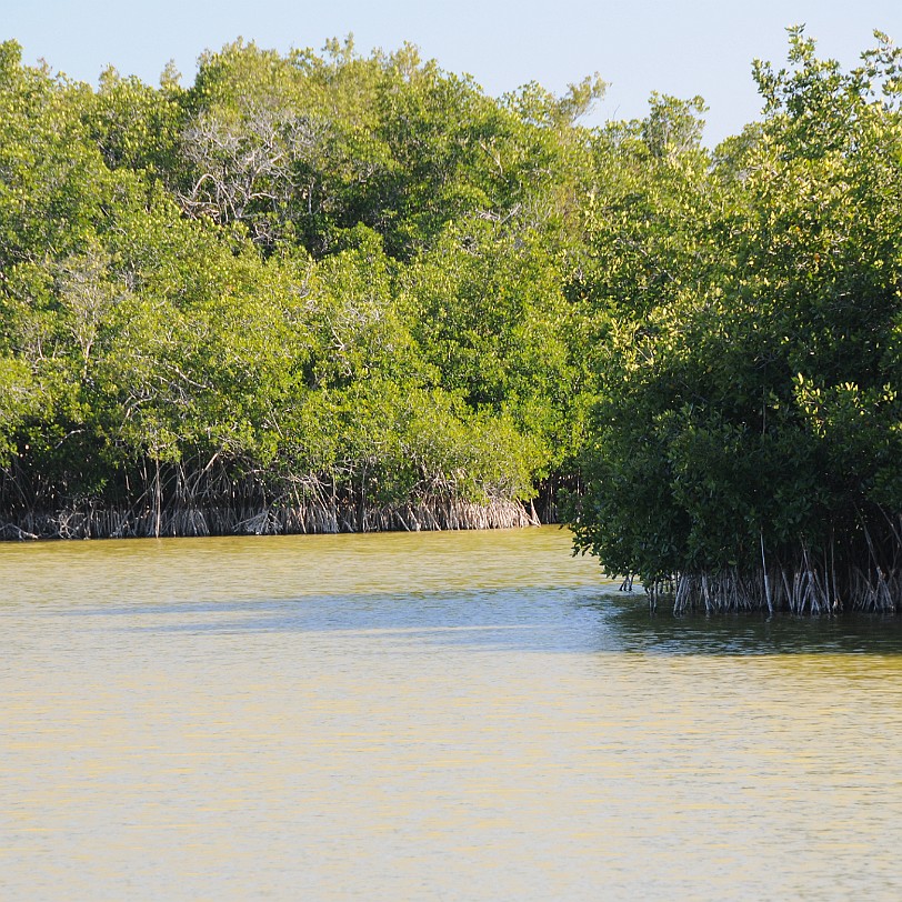 DSC_7849 Florida City, Everglades Nationalpark, Florida, USA