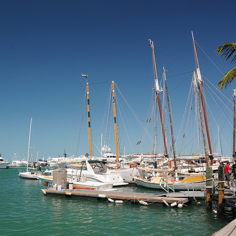 DSC_7924 Florida Keys, Key West, Florida, USA