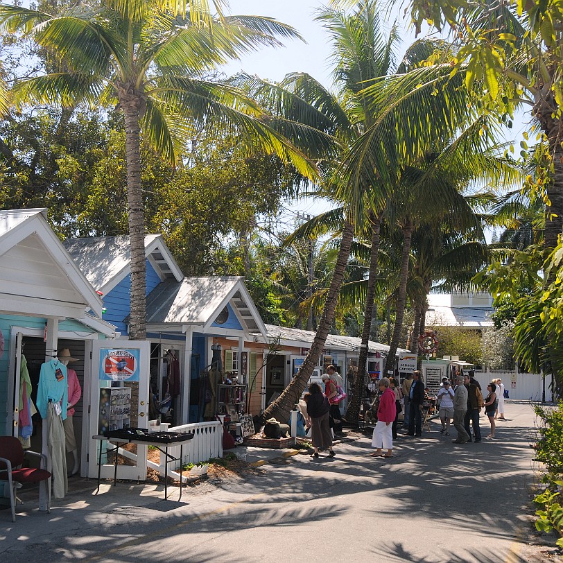 DSC_7925 Florida Keys, Key West, Florida, USA