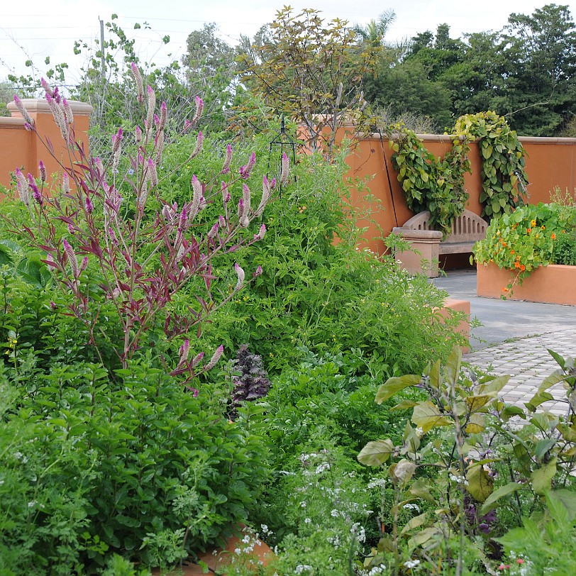 DSC_8067 Homestead, Fruit & Spice Park, Florida, USA