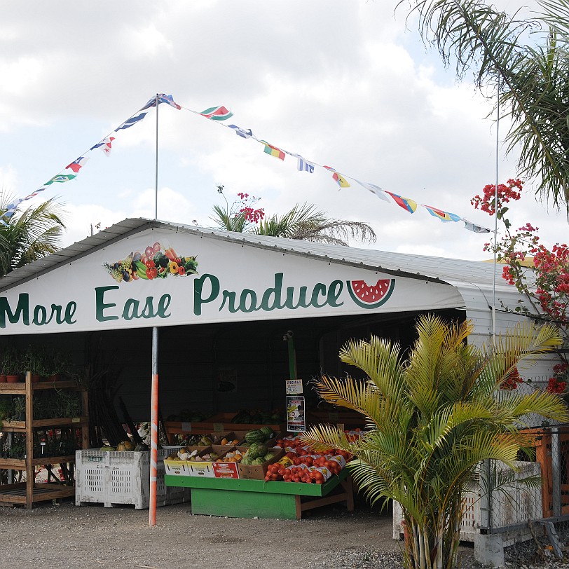 DSC_8093 Homestead, Fruit & Spice Park, Florida, USA