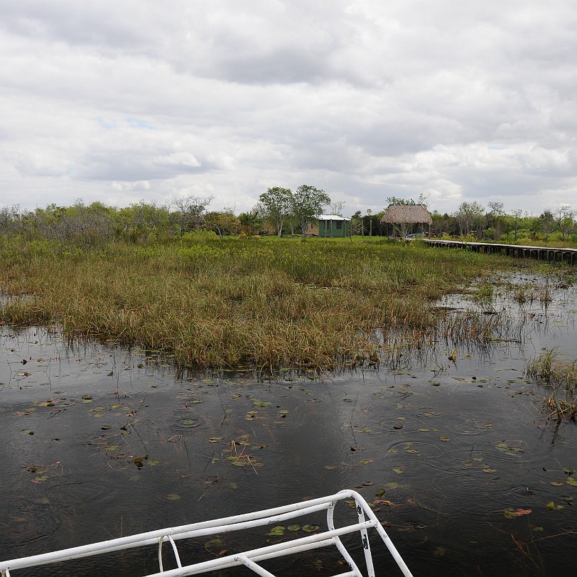 DSC_8113 Florida City nach Naples, Florida, USA Doch es gibt nicht nur Gras in den Everglades; wann immer der Boden sich auch nur wenige Meter erhebt, entfaltet sich...