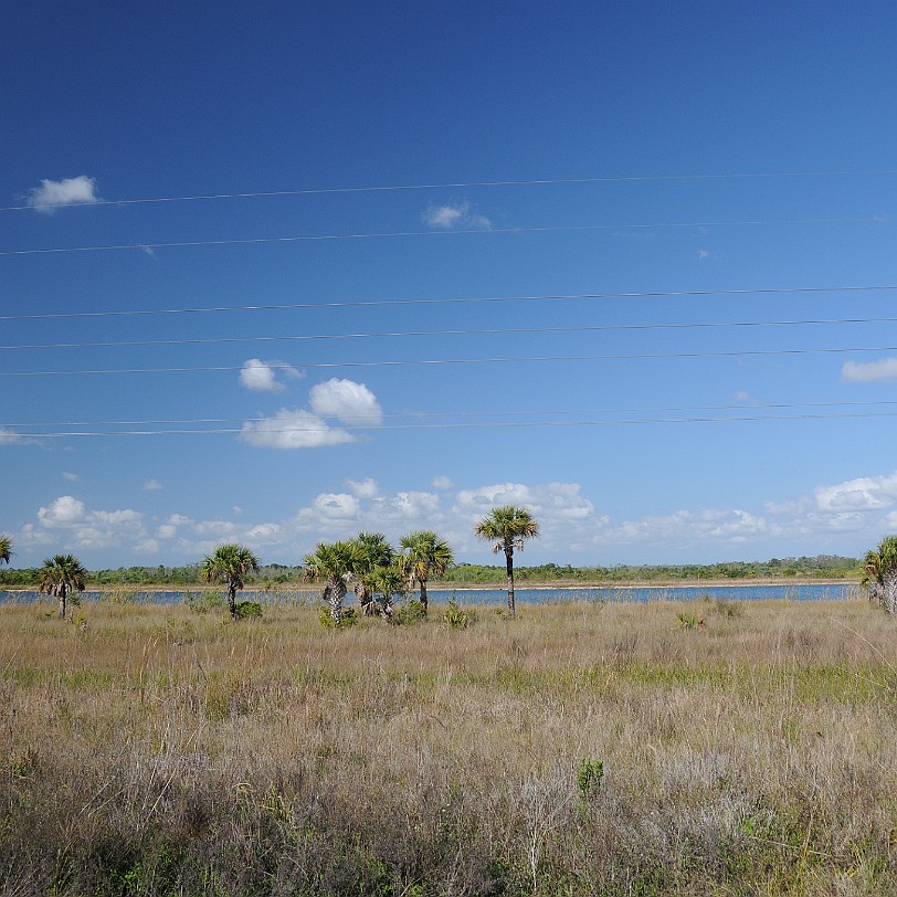 DSC_8452 Naples nach Fort Lauderdale, Alligator Alley, Florida, USA