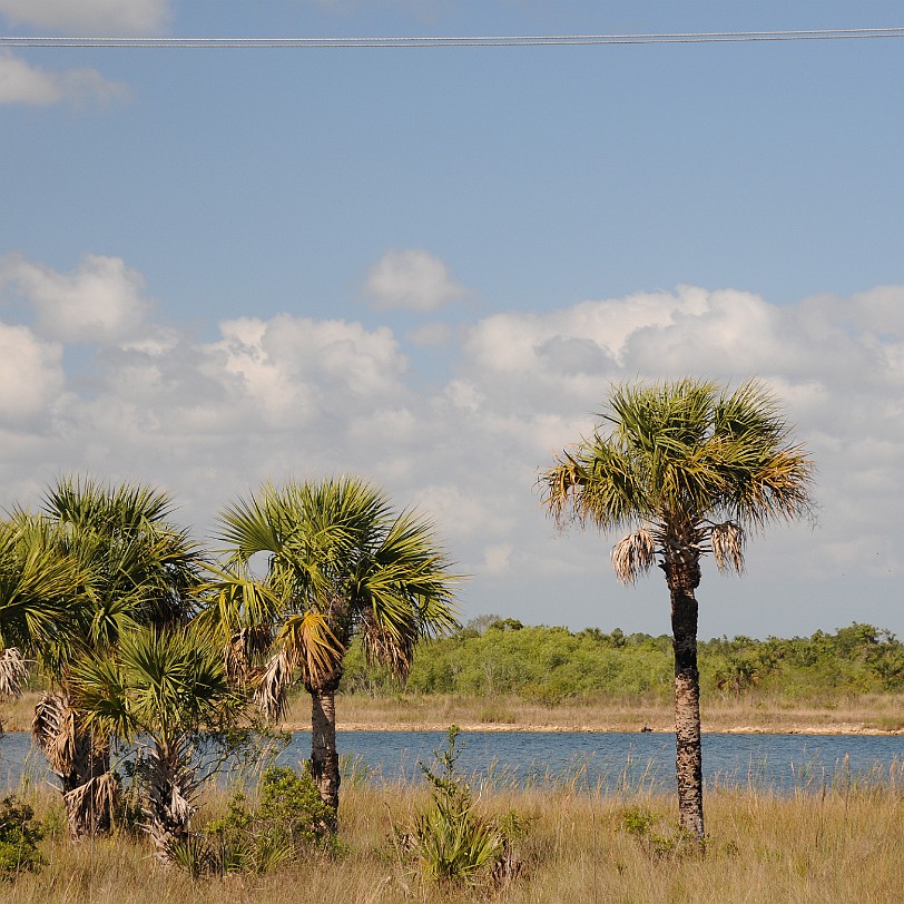 DSC_8453 Naples nach Fort Lauderdale, Alligator Alley, Florida, USA