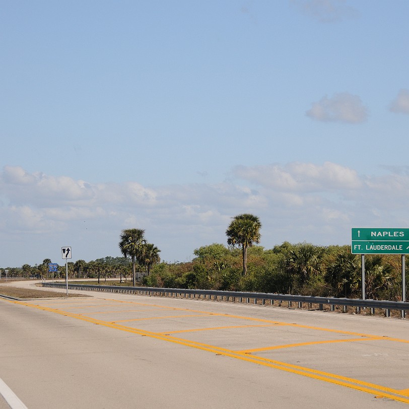 DSC_8454 Naples nach Fort Lauderdale, Alligator Alley, Florida, USA