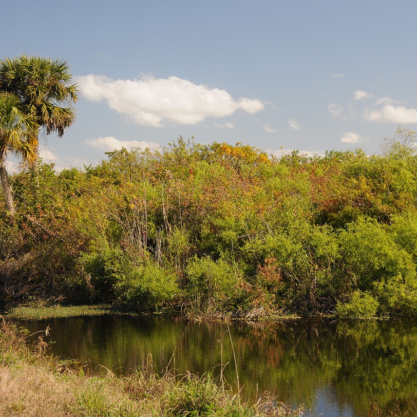 DSC_8455 Naples nach Fort Lauderdale, Alligator Alley, Florida, USA