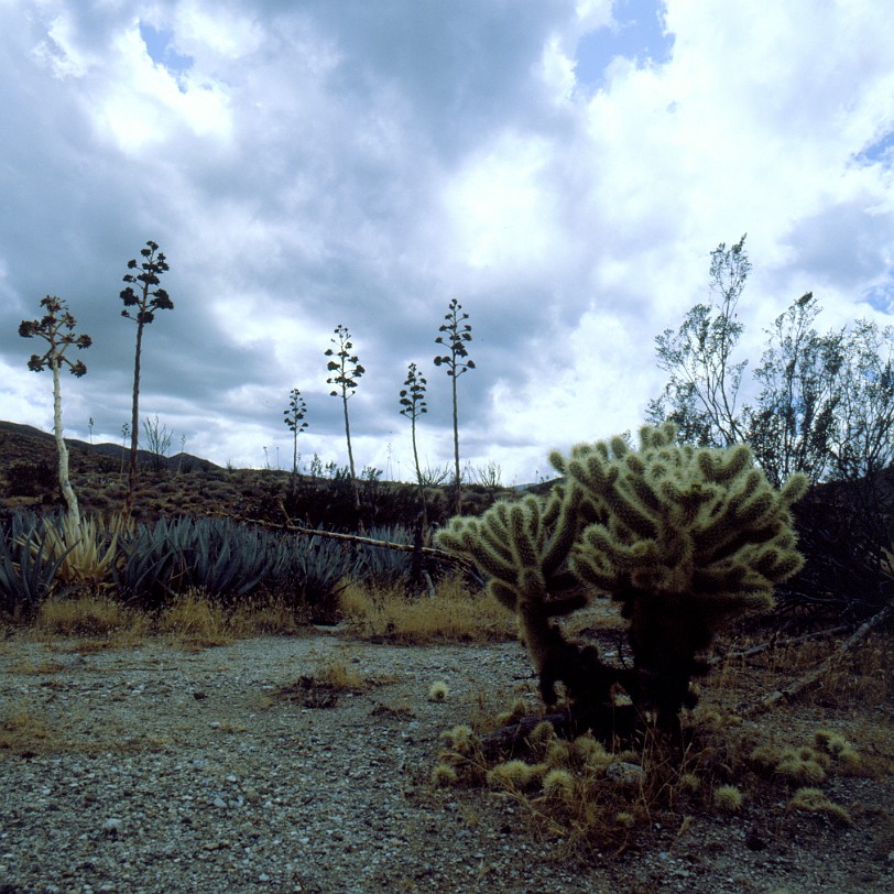 USA 1982 [0002] Die meisten Besucher kommen aus dem Osten über die kalifornischen Highways S22, S2 oder 78. Besucher aus San Diego über die California State Routes 79 und 78...