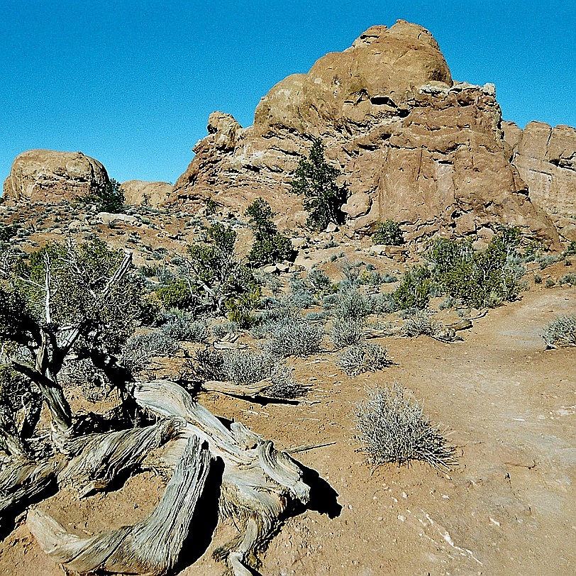 944 USA, Utah, Moab, Arches Nationalpark