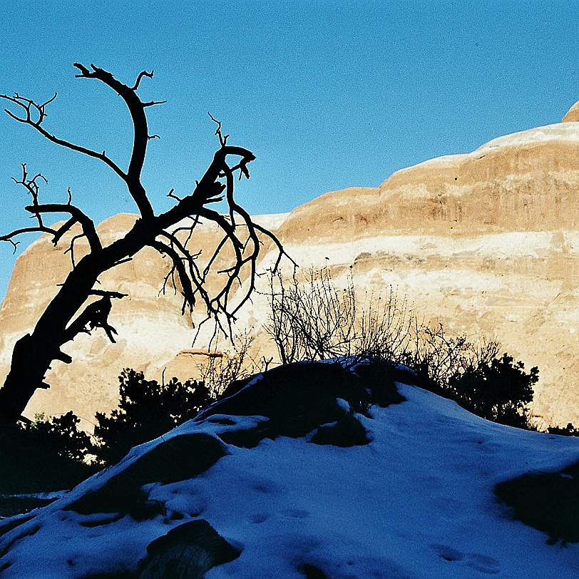 947 USA, Utah, Moab, Arches Nationalpark