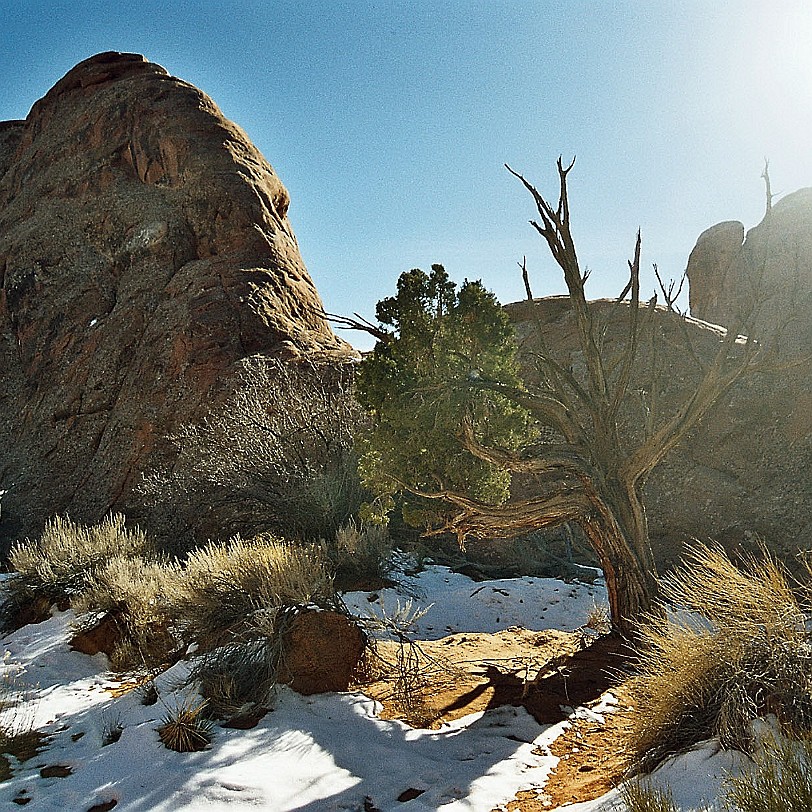 949 USA, Utah, Moab, Arches Nationalpark