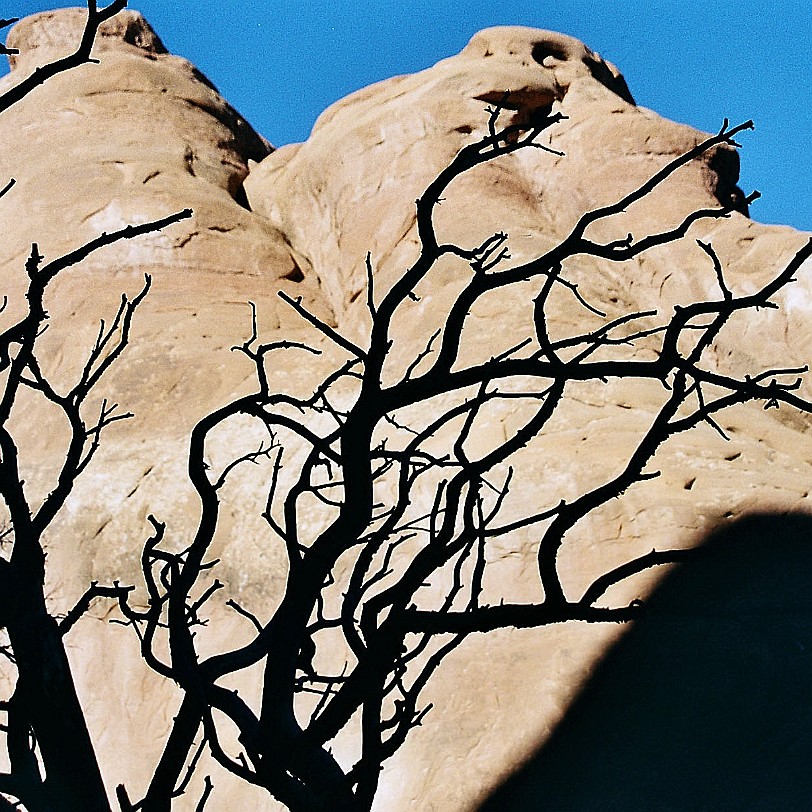 950 USA, Utah, Moab, Arches Nationalpark