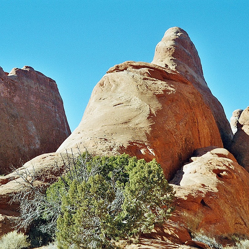 945 USA, Utah, Moab, Arches Nationalpark
