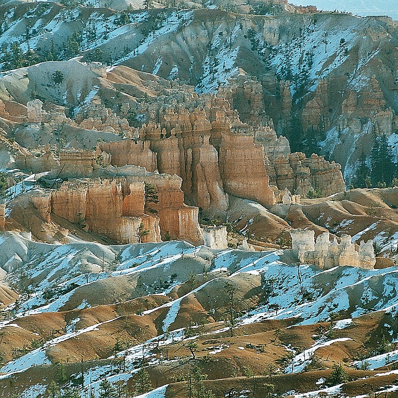 835 USA, Utah, Bryce Canyon