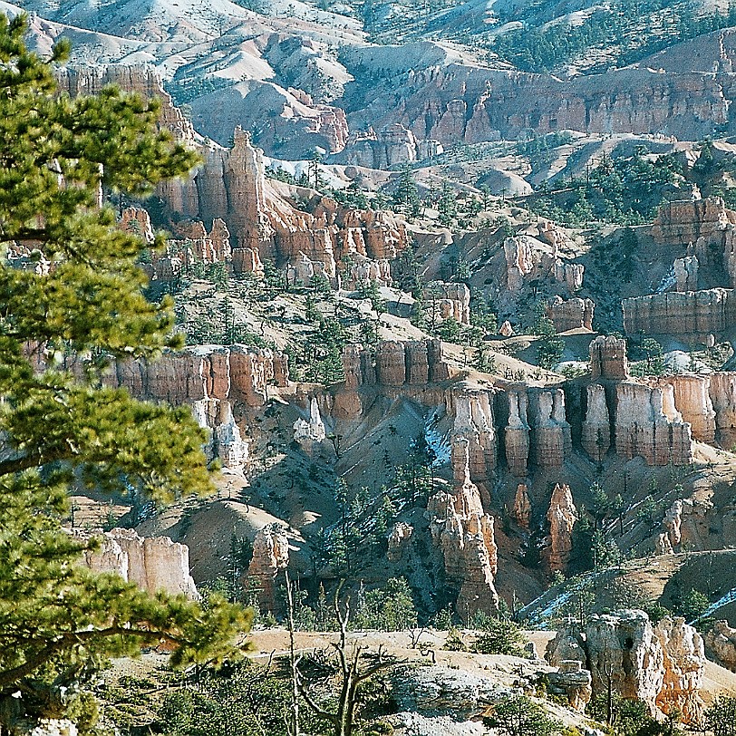 836 USA, Utah, Bryce Canyon Der Bryce-Canyon-Nationalpark liegt im Südwesten von Utah circa 80 km vom Zion-Nationalpark entfernt. Da er 300 Meter höher ist, sind in...