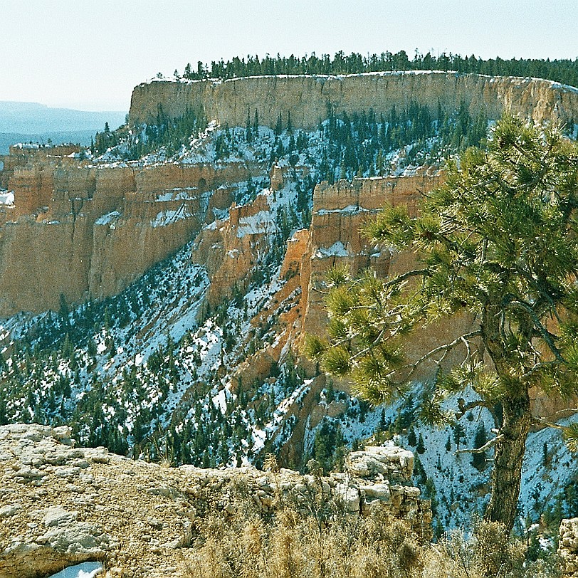 841 USA, Utah, Bryce Canyon
