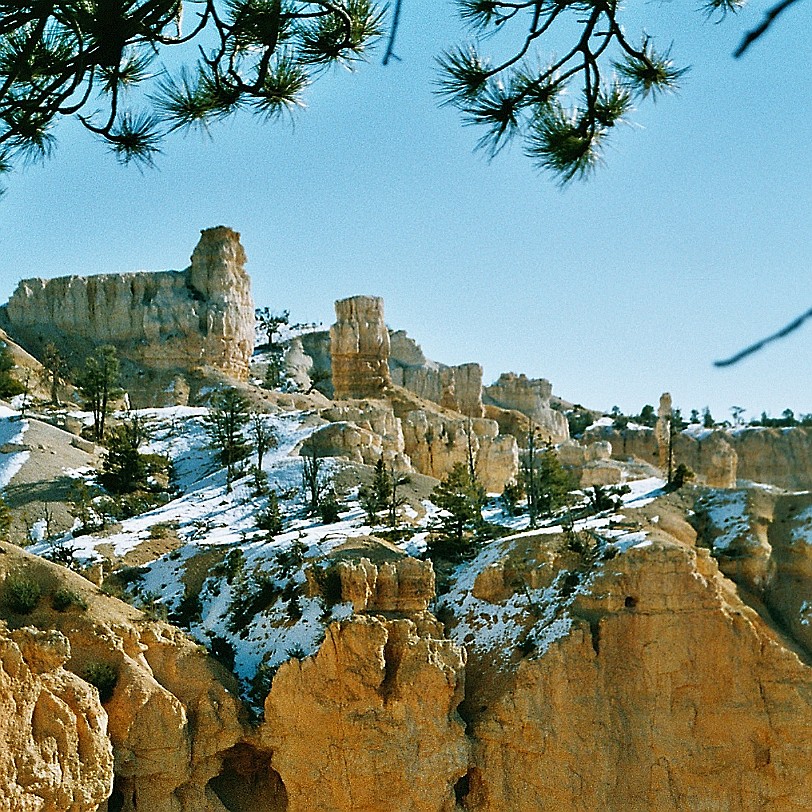 843 USA, Utah, Bryce Canyon