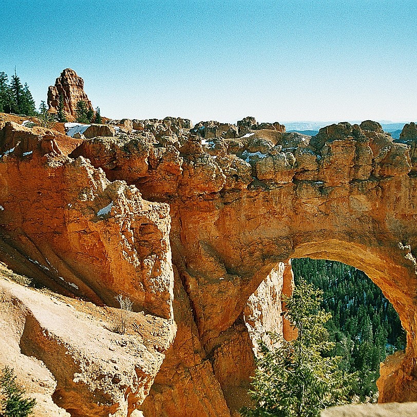 846 USA, Utah, Bryce Canyon