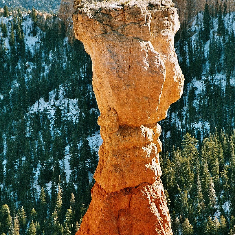 847 USA, Utah, Bryce Canyon