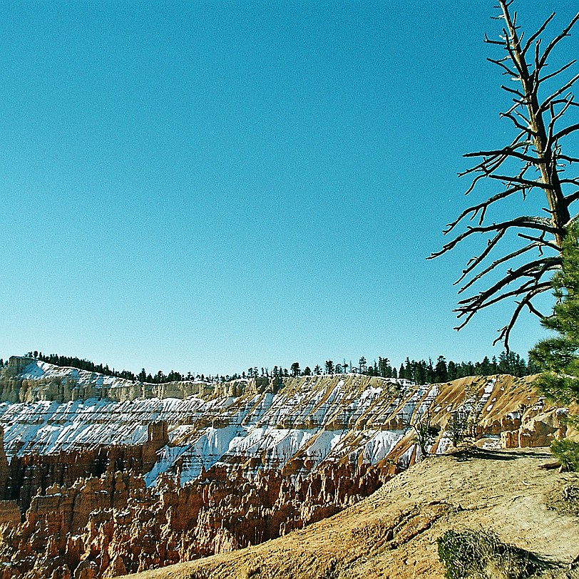 853 USA, Utah, Bryce Canyon