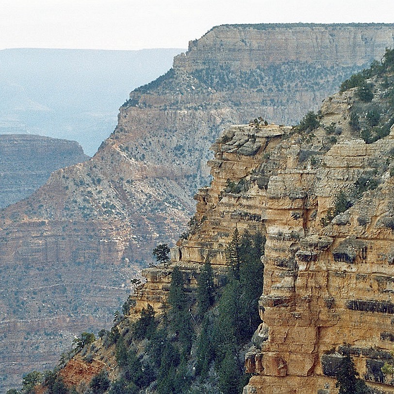 768 USA, Arizona, Grand Canyon Am 11. Januar 1908 wurde das Gebiet um den Grand Canyon durch US-Präsident Theodore Roosevelt, der sich oft in dem Gebiet aufgehalten...