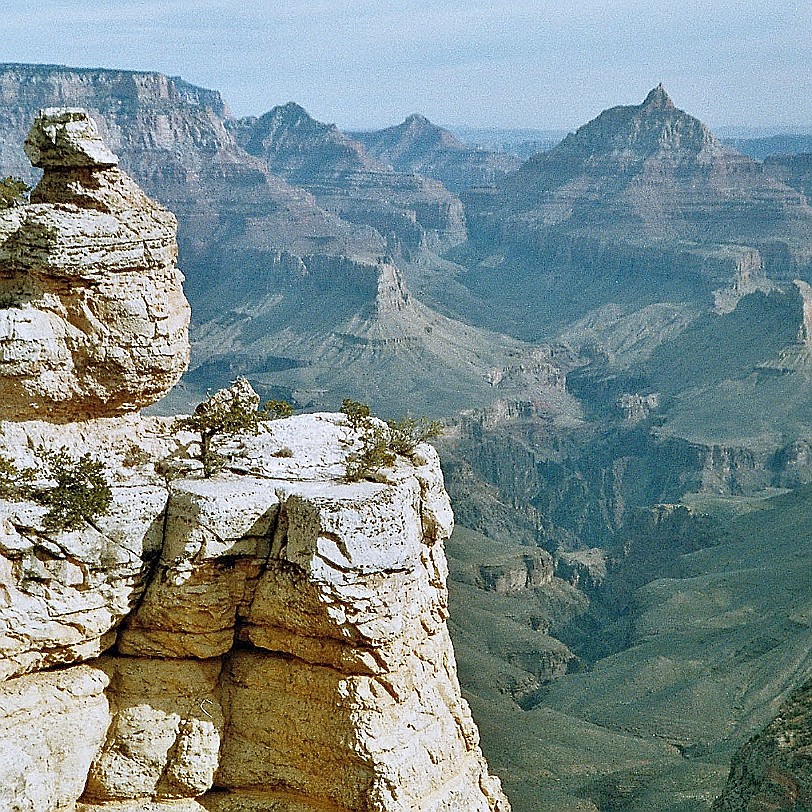 769 USA, Arizona, Grand Canyon Über Millionen von Jahren haben sich der Colorado und seine Nebenflüsse steil und tief ins Gestein des Colorado Plateau...