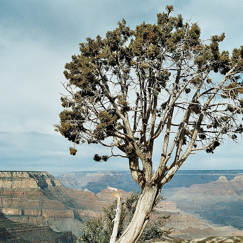 771 USA, Arizona, Grand Canyon