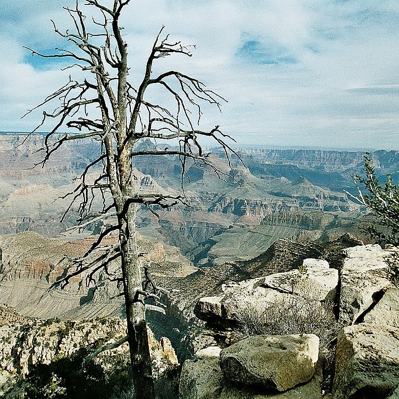 773 USA, Arizona, Grand Canyon