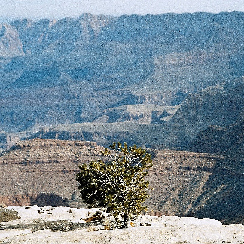 774 USA, Arizona, Grand Canyon