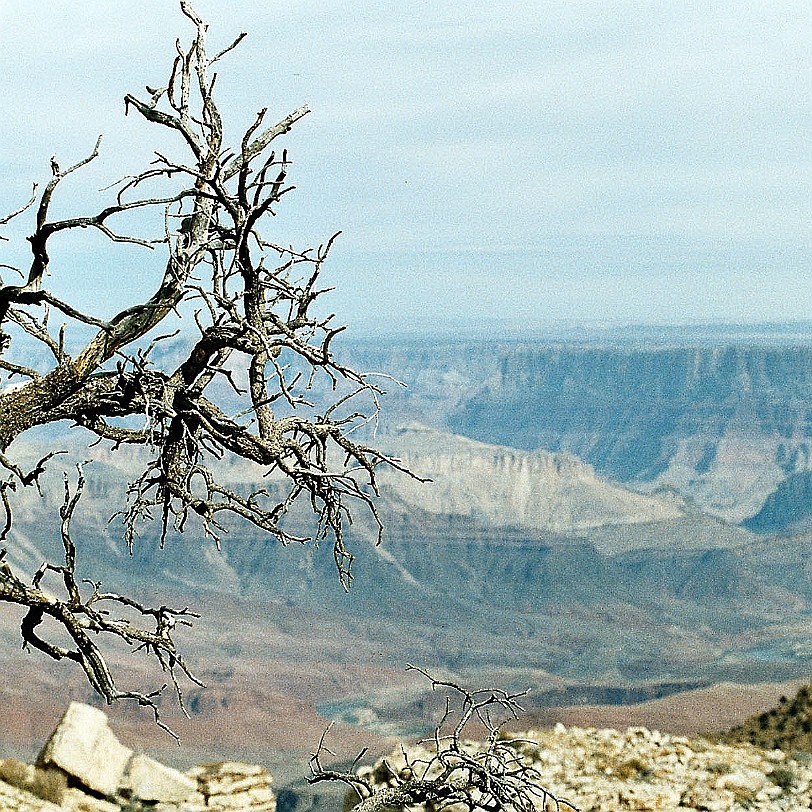 776 USA, Arizona, Grand Canyon