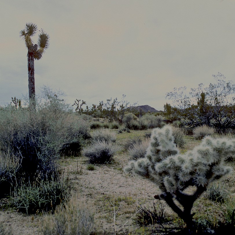 USA 1982 [0402]