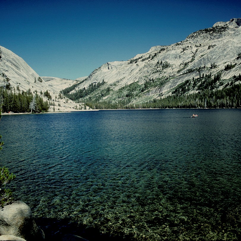 USA 1982 [0186] Der Park stellt einen der größten und am wenigsten fragmentierten Lebensräume der Sierra Nevada dar, der eine Fülle von Pflanzen und Tieren beheimatet. Er liegt...