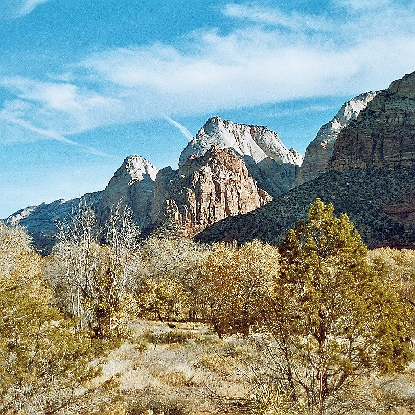 871 USA, Utah, Zion Nationalpark Der Zion-Nationalpark befindet sich im Südwesten Utahs an der Grenze zu Arizona. Er hat eine Fläche von 593 km² und liegt zwischen...