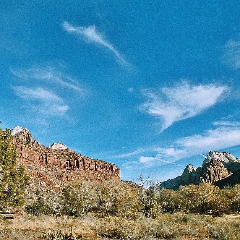 872 USA, Utah, Zion Nationalpark Der Zion-Nationalpark liegt im Südwesten von Utah in den Counties Washington, Iron und Kane. Geomorphologisch betrachtet besteht...