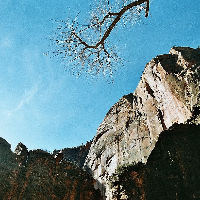 876 USA, Utah, Zion Nationalpark Im späten 18. Jahrhundert wurde Utah von den Weißen für die Besiedelung erkundet. Die erste geschichtlich notierte Erforschung...