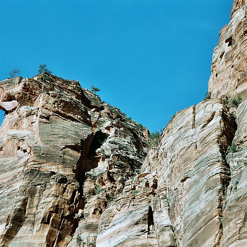 877 USA, Utah, Zion Nationalpark