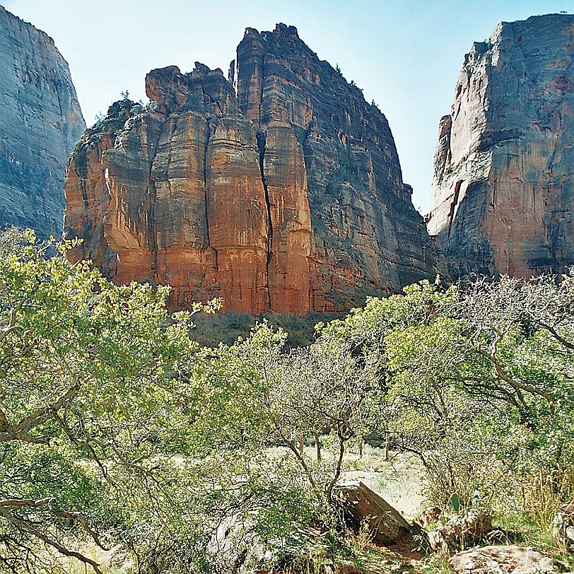 879 USA, Utah, Zion Nationalpark